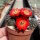Rebutia steinmannii WK 824