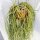 Rhipsalis baccifera ssp. mauritianaJB 9201