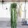Rhipsalis spec. HU 992