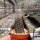 Setiechinopsis mirabilis