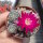 Sulcorebutia crispata HR 027