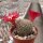 Sulcorebutia sp.n. HS 140