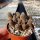 Sulcorebutia taratensis JD 225