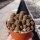 Sulcorebutia taratensis f. minima Klon 1 WR 196