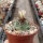Turbinicarpus klinkerianus CITES, not outside EU