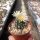 Turbinicarpus krainzianus CITES, not outside EU
