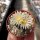 Turbinicarpus krainzianus CITES, not outside EU