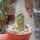 Weingartia pygmaea HTH 029