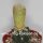 Yavia cryptocarpa gepfr.