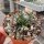 Agave albopilosa