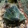 Agave pumila