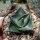 Agave pumila