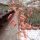 Aloe descoingsii-Hybr.    CITES, not outside EU