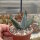 Aloe reitzii