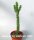 Ceraria namaquensis gepfr.
