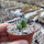 Conophytum bilobum v. recisum