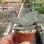 Crassula falcata