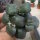 Crassula multicava