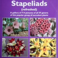 Stapeliads refreshed John Pilbeam - 1 Buch