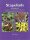 Stapeliads refreshed John Pilbeam - 1 Buch
