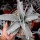 Dyckia marnier-lapostollii v. estevesii HU 005