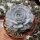 Echeveria elegans