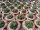 Euphorbia enopla cristata