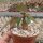 Euphorbia subapoda Caudex