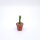 Euphorbia tubiglans