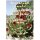 Succulent Plants of Socotra Field Guide - Joël Lodé