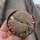 Lithops aucampiae v. koelemanii