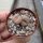 Lithops fulviceps v. fulviceps C 170