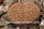 Lithops fulviceps v. fulviceps C 266