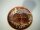 Lithops hookeri C 051