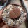 Lithops hookeri v. lutea C 038 TL