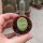 Lithops marmorata v. marmorata diutina C 260