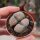 Lithops verruculosa v. inae C 095