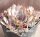 Sempervivum Norne (dw)