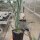 Yucca rostrata (dw)