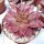 Echeveria agavoides cv. Atlas Rosso