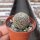 Sulcorebutia mojocoyensis WK 955