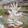 Senecio haworthii cv. Hans Herre
