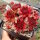 Sempervivum Stenorosso (dw)