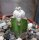 Astrophytum myriostigma cv. Zipfelmütze (Kitsukou) gepfr.