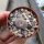 Lithops lesliei ssp. burchellii C 302