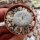 Lithops gracilidelineata cv. Minifissus