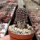 Rebutia friedrichiana EZ 542