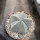 Astrophytum coahuilense Lerdo