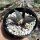 Ariocarpus retusus Sierra Paila, Mx CITES, not outside EU