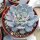 Echeveria texensis